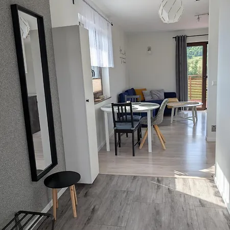 Przy Potoku Apartment *